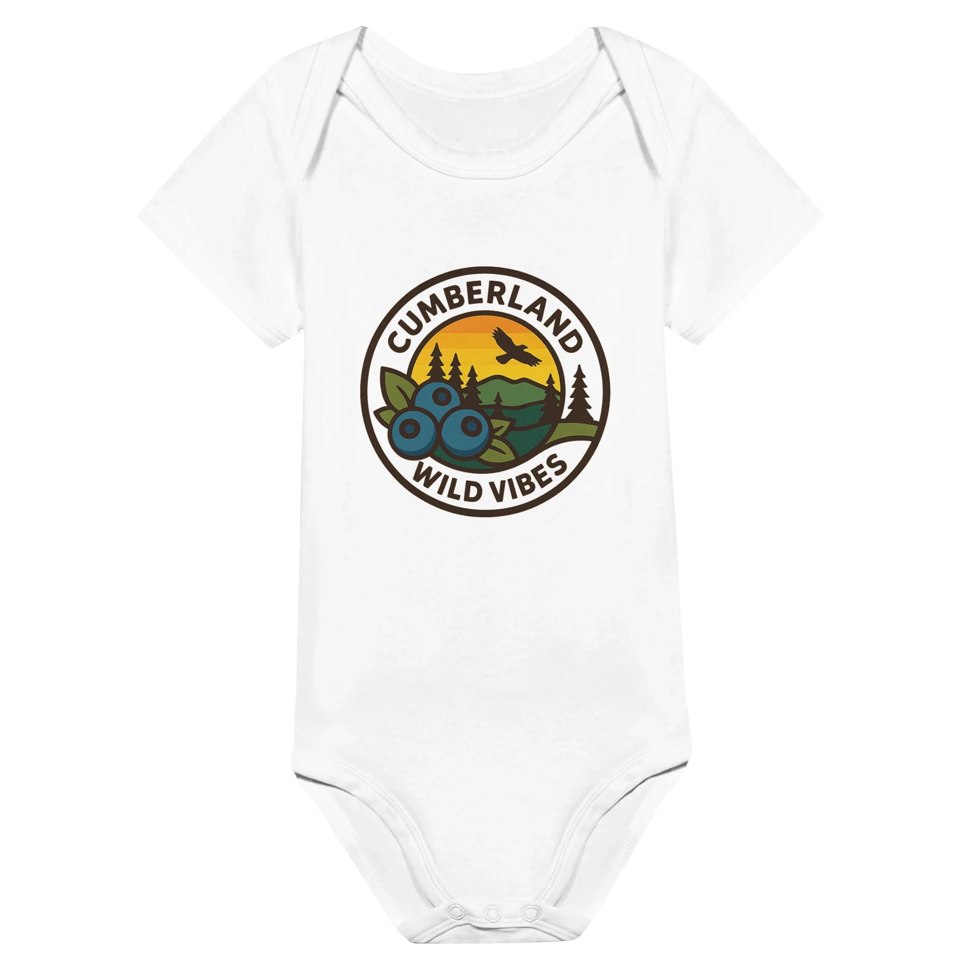 29dd67bf-2c81-46d4-a12b-c12cbf44c0fc