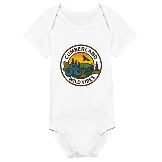 29dd67bf-2c81-46d4-a12b-c12cbf44c0fc